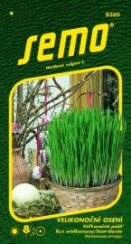 Velikonoční osení (Hordeum vulgare)